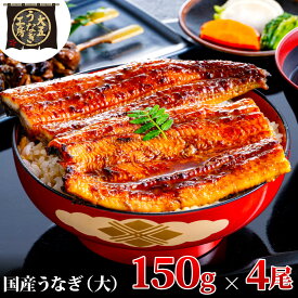 【ふるさと納税】うなぎ蒲焼 150g×4尾(600g) うなぎ ウナギ 鰻 蒲焼 蒲焼き冷凍 国産 大五 大五通商 静岡 島田市