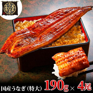 yӂ邳Ɣ[ŁzȂ 190g×4(760g) Ȃ EiM V  ĂⓀ Y  ܒʏ É cs