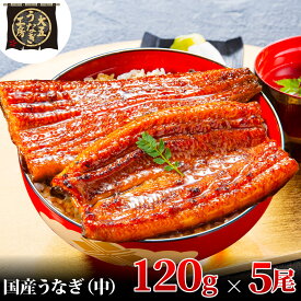【ふるさと納税】うなぎ蒲焼 120g×5尾(600g) うなぎ ウナギ 鰻 蒲焼 蒲焼き冷凍 国産 大五 大五通商 静岡 島田市