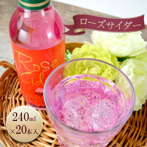 yӂ邳Ɣ[Łz[Y (KN) TC_[ 240ml / 20{ Y_ o cs