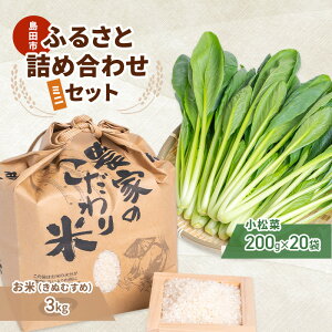 【ふるさと納税】小松菜 お米(きぬむすめ) 詰め合わせ セット4 野菜 やさい こまつな 旬 国産 米 こめ コメ 産地直送 詰合せ 静岡県 島田市 お届け:2025年11月1日〜2026年3月31日まで
