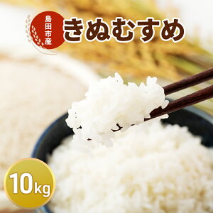 【ふるさと納税】お米 10kg(きぬむすめ) 米 コメ 精米 白米 ご飯 静岡県 島田市 ※配送不可:北海道、沖縄、離島 お届け:2025年11月上旬〜2026年3月下旬まで
