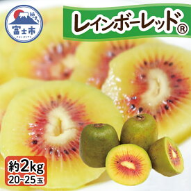 【ふるさと納税】 キウイフルーツ レインボーレッド® 2kg 大玉 高糖度 20～25玉 ビタミンC 無農薬 数量限定 期間限定 富士市 [sf001-087]