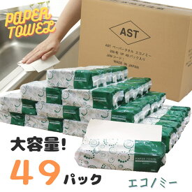 【ふるさと納税】アストペーパータオルエコノミー200枚入り×49パック【配送不可地域：沖縄本島・離島】 [sf068-011]