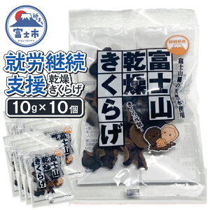 yӂ邳Ɣ[Łz yAJpxz xmR  炰 10g×10 xmR̕gp  JVE H@ r^~D yzsnF{Ez [sf068-029]