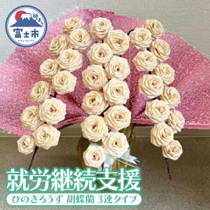 yӂ邳Ɣ[ŁzyAJpxz Ђ̂낤 Ӓ 3A^Cv t xmw CeA Mtg  v[g G pi xms yzsnF{Ez [sf068-031]