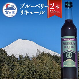 【ふるさと納税】 リキュール ブルーベリー酒 500mL 2本入 お酒 洋酒 果実酒 フルーティー アルコール10度 ストレート ロック 炭酸割り 常温 富士市 [sf096-004]