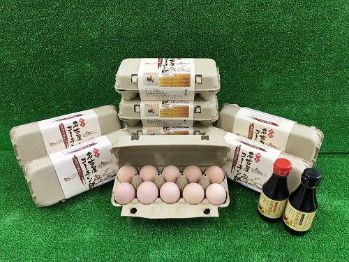 新作送料無料 青い鳥牧場の名古屋コーチン卵は 黄味がとても濃厚でコクがあります ふるさと納税 期間限定お試し価格 純系名古屋コーチン卵 60コ入 卵かけご飯セット