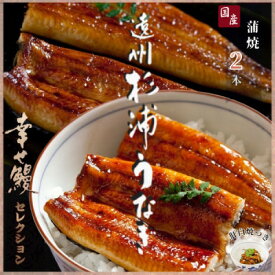 【ふるさと納税】【1本230g以上】遠州杉浦うなぎ 蒲焼セット　蒲焼2本(460g-500g)+肝白焼+タレ【配送不可地域：離島】【1604148】