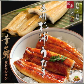 【ふるさと納税】【1本210g以上】遠州杉浦うなぎMセット　白焼2本+蒲焼2本(880-980g)+肝白焼+タレ【配送不可地域：離島】【1612730】
