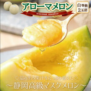 【ふるさと納税】【玉数選べる】アローマメロン(白等級)【1玉 /2玉】【配送不可地域:離島・北海道・沖縄県】【G1447079】