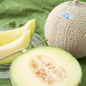 yӂ邳Ɣ[ŁzyΕz12 É֓cs NE  1.3kg×2yzsnFEkCEꌧzy1640728z