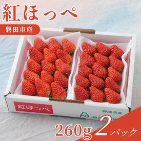 【ふるさと納税】静岡県磐田市 いちご 紅ほっぺ 約260g×2パック【配送不可地域：離島・北海道・沖縄県】【1640742】