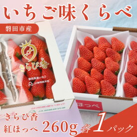 【ふるさと納税】静岡県磐田市 いちご食べ比べ きらぴ香 紅ほっぺ 約260g 各1パック【配送不可地域：離島・北海道・沖縄県】【1640748】