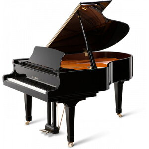 yӂ邳Ɣ[ŁzysAmzJC KAWAI ̐ViOhsAmGX-3AyzsnFEꌧzy1653332z