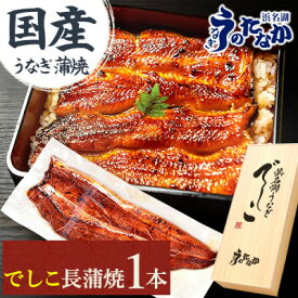 【ふるさと納税】浜名湖養鰻125年の最高傑作「でしこ」!浜名湖・うなぎのたなか国産長蒲焼1本ギフト※合計110g程度【配送不可地域：離島】【1664259】