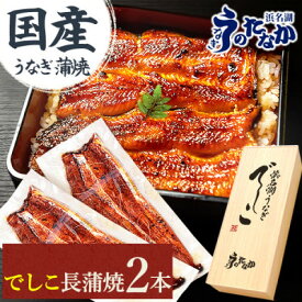 【ふるさと納税】浜名湖養鰻125年の最高傑作「でしこ」!浜名湖・うなぎのたなか国産長蒲焼2本ギフト※合計220g程度【配送不可地域：離島】【1664703】