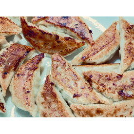 【ふるさと納税】ふくすけ餃子 計60個 冷凍生【配送不可地域：離島】【1673844】