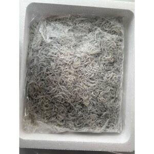 【ふるさと納税】釜揚げしらす 1kg 化粧箱【配送不可地域:離島】【1675703】