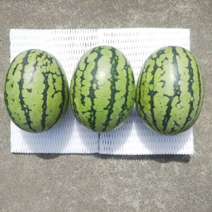 yӂ邳Ɣ[Łzys\/2026N8{蔭z3!Ăvy!VQ!XCJyՂƁzyzsnFEkCEꌧzy1685555z