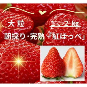 �y�ӂ邳�Ɣ[�Łz�y�N�������z���n�E�̂ꂽ�ăC�`�S�u�g�ق��؁v�嗱1.2kg(300g×4P)�y�z���s�n��F�����E�k�C���E���ꌧ�E���k�E�����E�l���E��B�z�y1694690�z