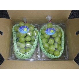 【ふるさと納税】【先行予約】【150口限定】シャインマスカット　2房(2026年9月上旬～中旬発送予定)【配送不可地域：離島】【1697171】