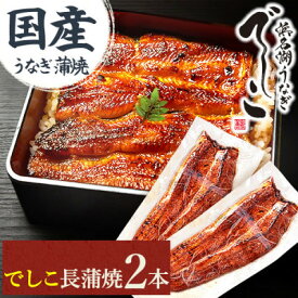 【ふるさと納税】浜名湖養鰻125年の最高傑作「でしこ」!浜名湖・うなぎのたなか国産長蒲焼2本※簡易箱・合計約220g【配送不可地域：離島】【1757968】