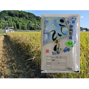 yӂ邳Ɣ[ŁzyցzÉЂ()5kg×1ܑS3y4076144z