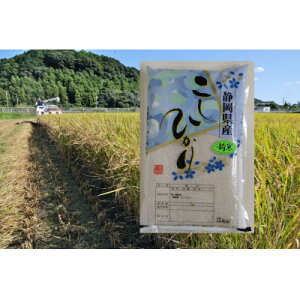 yӂ邳Ɣ[ŁzyցzÉЂ()5kg×1ܑS12y4076145z