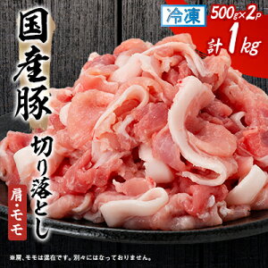 yӂ邳Ɣ[ŁzYؐ؂藎Ƃ(E)500×2PyzsnFzy1637236z