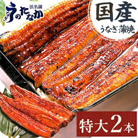 【ふるさと納税】国産うなぎ特大長蒲焼【2本/3本】_ うなぎ ウナギ 鰻 国産 蒲焼 蒲焼き かばやき 土用 丑の日 静岡県 たれ 山椒 美味しい 簡単調理 レンジ調理 うな重 ひつまぶし 産地直送 贈答 ギフト 冷凍 送料無料【配送不可地域：離島】【G1417629】