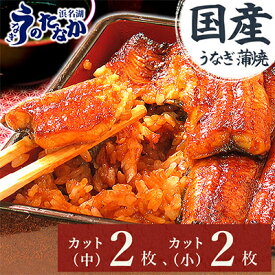 【ふるさと納税】浜名湖・うなぎのたなかのふっくら柔らか♪国産うなぎカット蒲焼(中)2枚(小)2枚※合計290g程度_ うなぎ ウナギ 鰻 かば焼き 蒲焼き 人気 美味しい 静岡県 ふるさと 国産 浜名湖 静岡 個包装 小分け 簡単調理 【配送不可地域：離島】【1417534】