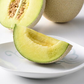 【ふるさと納税】静岡温室マスクメロン1個入(化粧箱入)_ メロン マスクメロン めろん 化粧箱 箱 1個 果物 くだもの フルーツ 甘い おいしい デザート 産直 産地直送 贈答 ギフト プレゼント 贈り物 静岡県 送料無料 【配送不可地域：離島・北海道・沖縄県】【1438666】