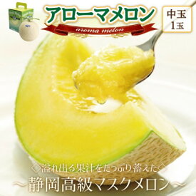 【ふるさと納税】【玉数選べる】アローマメロン(白等級中玉)【1玉 /2玉】_ メロン 果物 くだもの フルーツ アローマメロン マスクメロン 人気 おすすめ 送料無料 贈答 ギフト 白等級 【配送不可地域：離島・北海道・沖縄県】【G1447114】