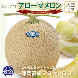 【ふるさと納税】【玉数選べる】アローマメロン(白等級大玉)【1玉 /2玉】_ メロン 果物 くだもの フルーツ アローマメロン マスクメロン 人気 おすすめ 送料無料 贈答 ギフト 白等級 大玉 【配送不可地域：離島・北海道・沖縄県】【G1447132】