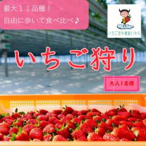 yӂ邳Ɣ[Łző10iȏHה!@󒆔_킽@@45ԐHו_  C`S 䕎  C`S  `Pbg   Xgx[ 