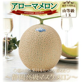 【ふるさと納税】【贈答用上位品】アローマメロン(山等級)【選べる1玉 /2玉】_ メロン 果物 くだもの フルーツ アローマメロン マスクメロン 人気 おすすめ 送料無料 贈答 ギフト 山等級 【配送不可地域：離島・北海道・沖縄県】【G1490685】