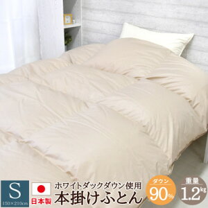yӂ邳Ɣ[Łz۔^Ȃ̉Hъ|zc VO 150×210cm { _bN_E 90% n_ Hѕzc VO HтӂƂ |zc zc Hъ|zc ӂƂ { _E90% _bN_