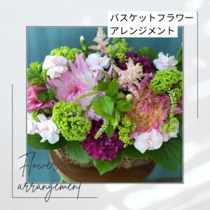 yӂ邳Ɣ[ŁzoXPbgt[AWgyzsnFEkCEBzy1556517z