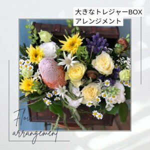 yӂ邳Ɣ[Łz傫ȃgW[BOX̃t[AWgyzsnFEkCEBzy1556862z