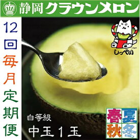 【ふるさと納税】【毎月定期便】クラウンメロン(白等級)中玉1玉・12ヵ月毎月お届け全12回_ メロン クラウンメロン めろん 定期便 全12回 化粧箱 果物 くだもの フルーツ 甘い 贈答 ギフト プレゼント 産地直送 送料無料 【配送不可地域：離島・北海道・沖縄県】【4003095】