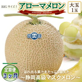 【ふるさと納税】【毎月定期便】アローマメロン(大玉)1玉・3ヵ月毎月お届け【静岡高級マスクメロン】全3回_ メロン アローマメロン 果物 くだもの フルーツ 定期便 静岡県 常温 人気 おすすめ 送料無料 贈答 ギフト 【配送不可地域：離島・北海道・沖縄県】【4006993】