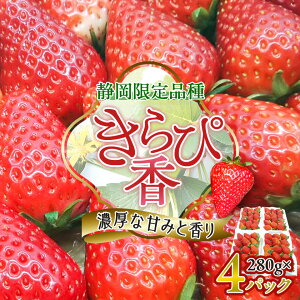 yӂ邳Ɣ[Łzs\/2025N12{Jn!Q̔!É:ҍ 280g×4pbN_  C`S  ҍ Xgx[ É ʕ  t[c fU[g y