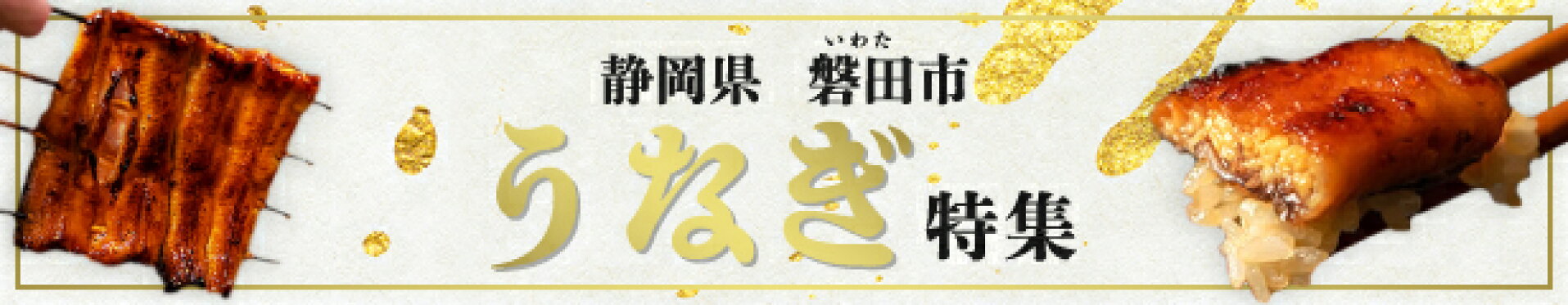 ふるさと納税　うなぎ