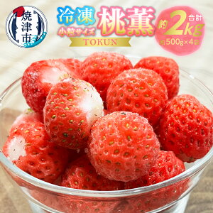 yӂ邳Ɣ[Łz Ⓚ  O 2L (500g×4)  ʕ t[c Ⓚ Ē a10-1152