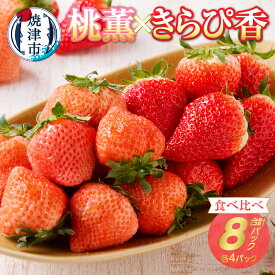 【ふるさと納税】 いちご 桃薫 きらぴ香 食べ比べ セット 計8パック 果物 フルーツ 冷蔵 焼津 a20-320