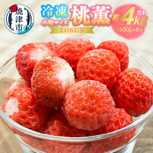 yӂ邳Ɣ[Łz Ⓚ  O 4L (500g×8)  ʕ t[c Ⓚ Ē a20-434