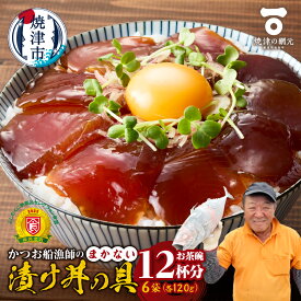 【ふるさと納税】 かつお 船漁師 まかない 漬け丼 具 120g×6P 刺身 高品質 高鮮度 小分け 便利 焼津 a10-1233