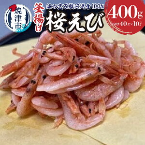 yӂ邳Ɣ[Łz  Gr g Ⓚ R Ē 40g×10 v400g x͘pY C̕ a10-632