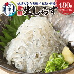  生しらす 刺身 しらす 魚 冷凍 真空パック CAS凍結 天然 焼津 約60g×8パック 静岡県漁連 a10-419